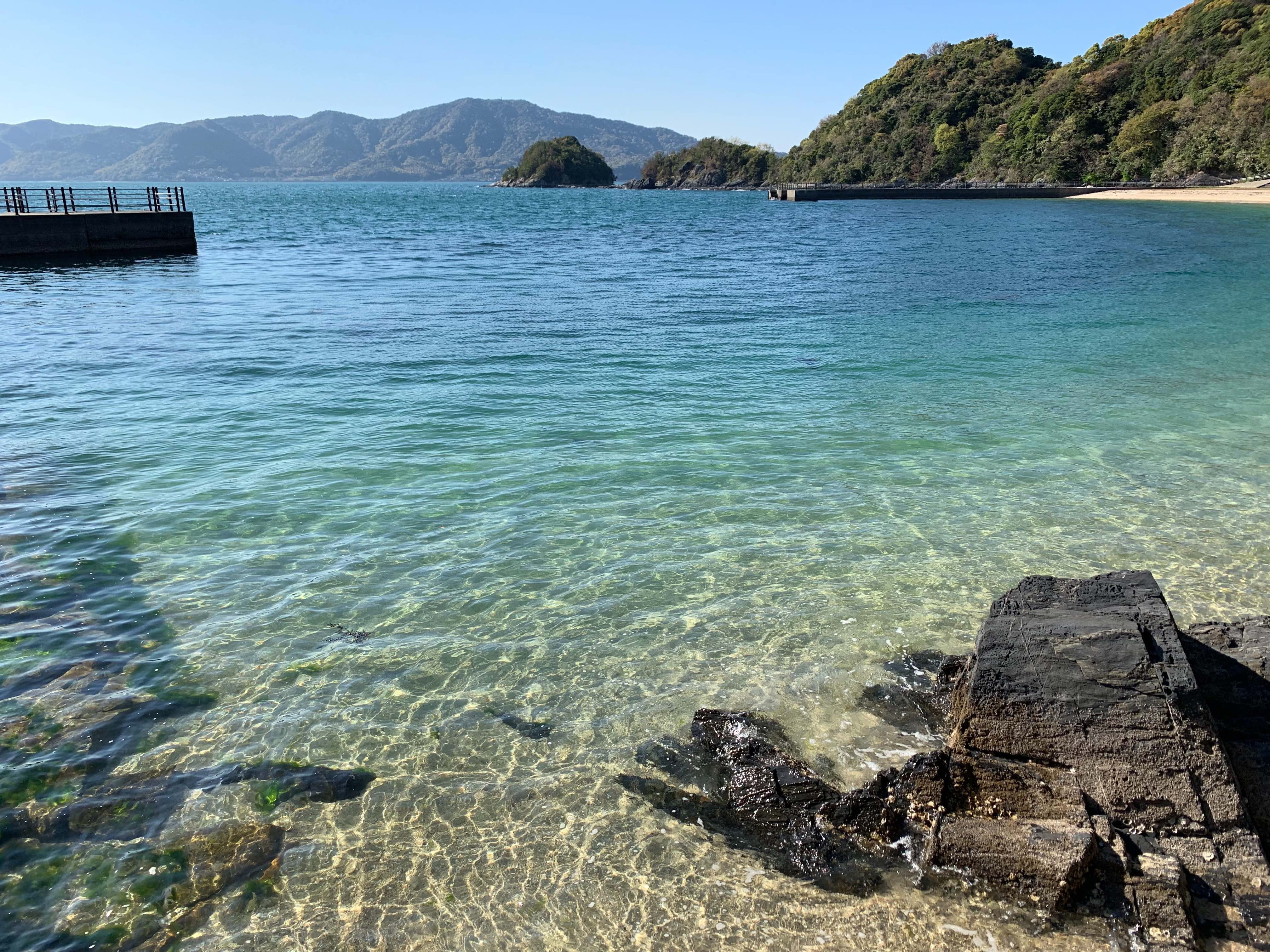 2022年4月の画像