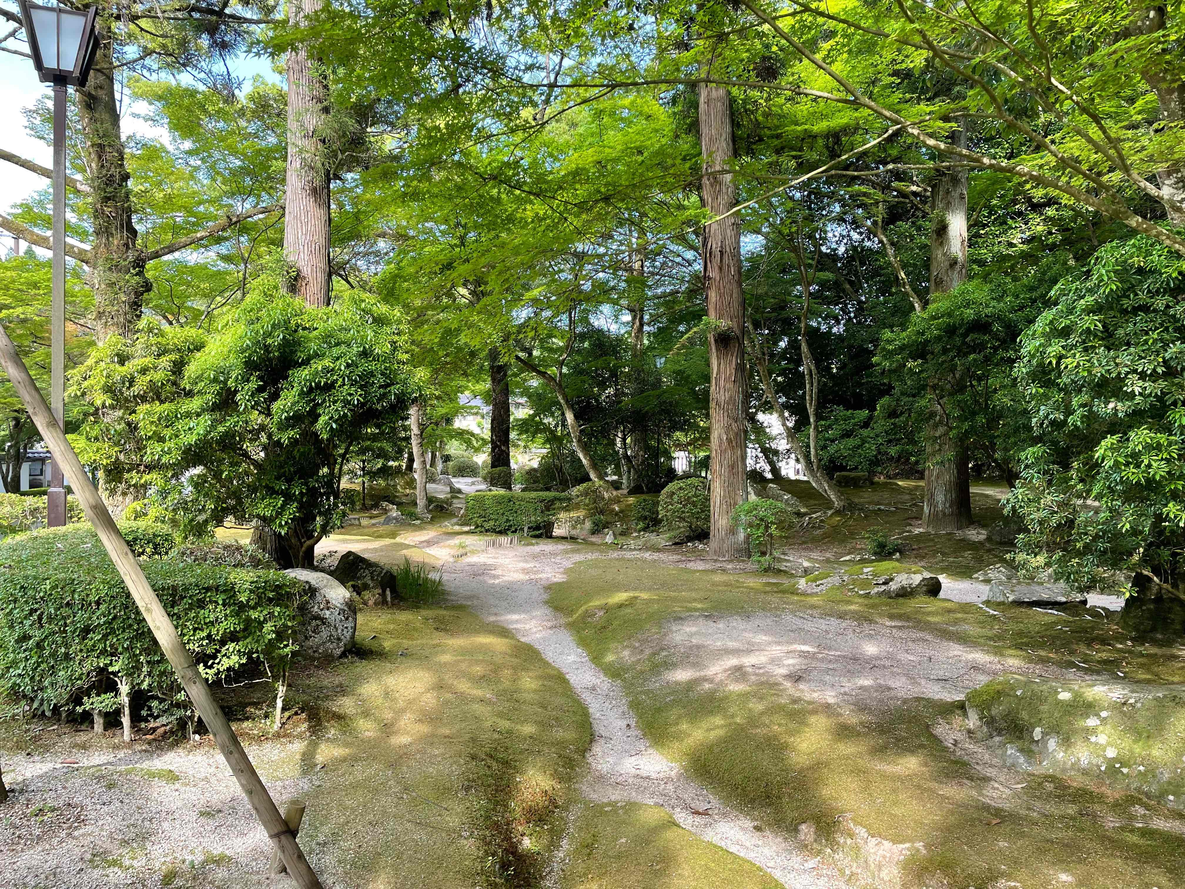 2022年6月の画像