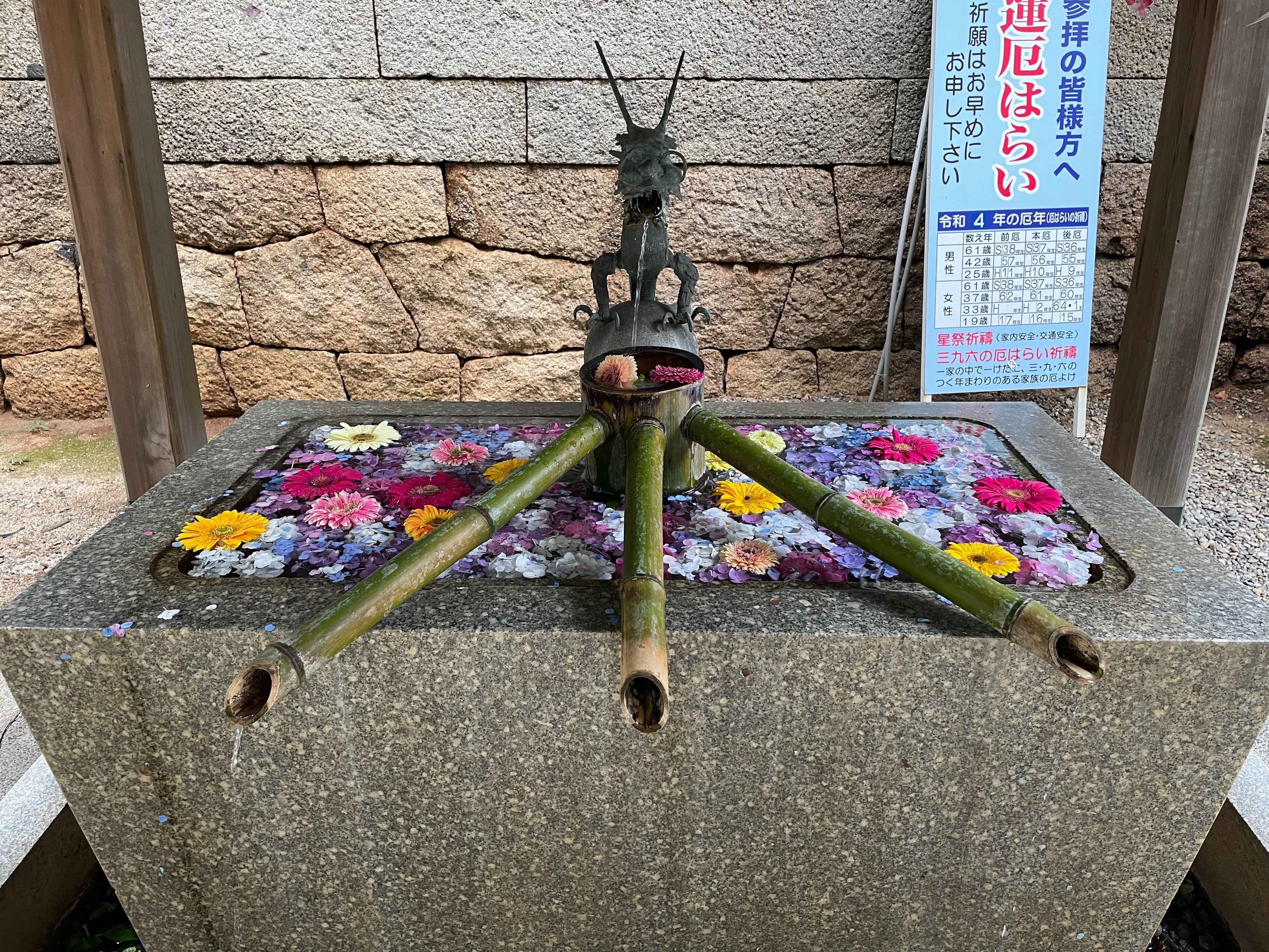 2022年7月の画像