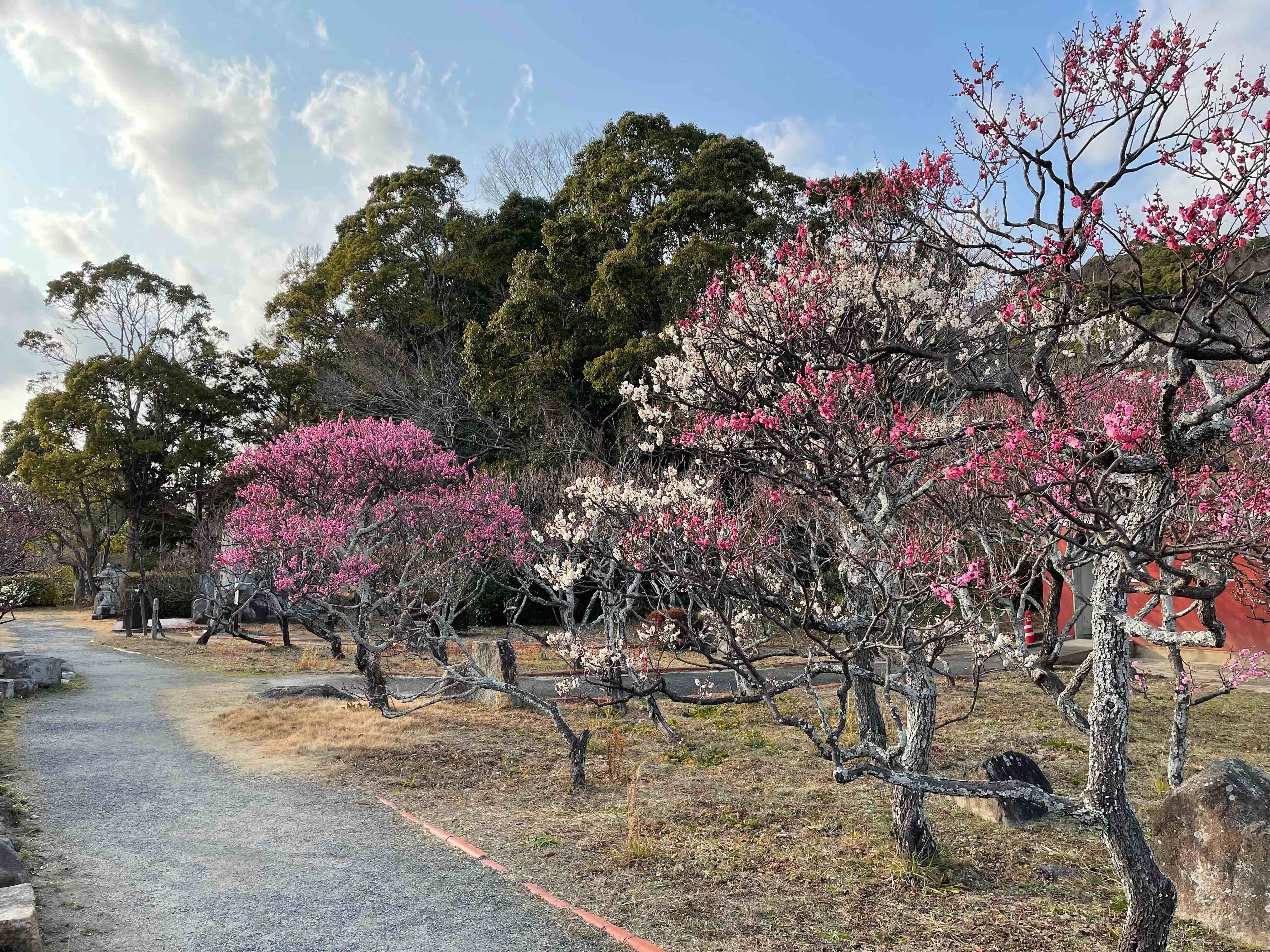 2022年2月の画像