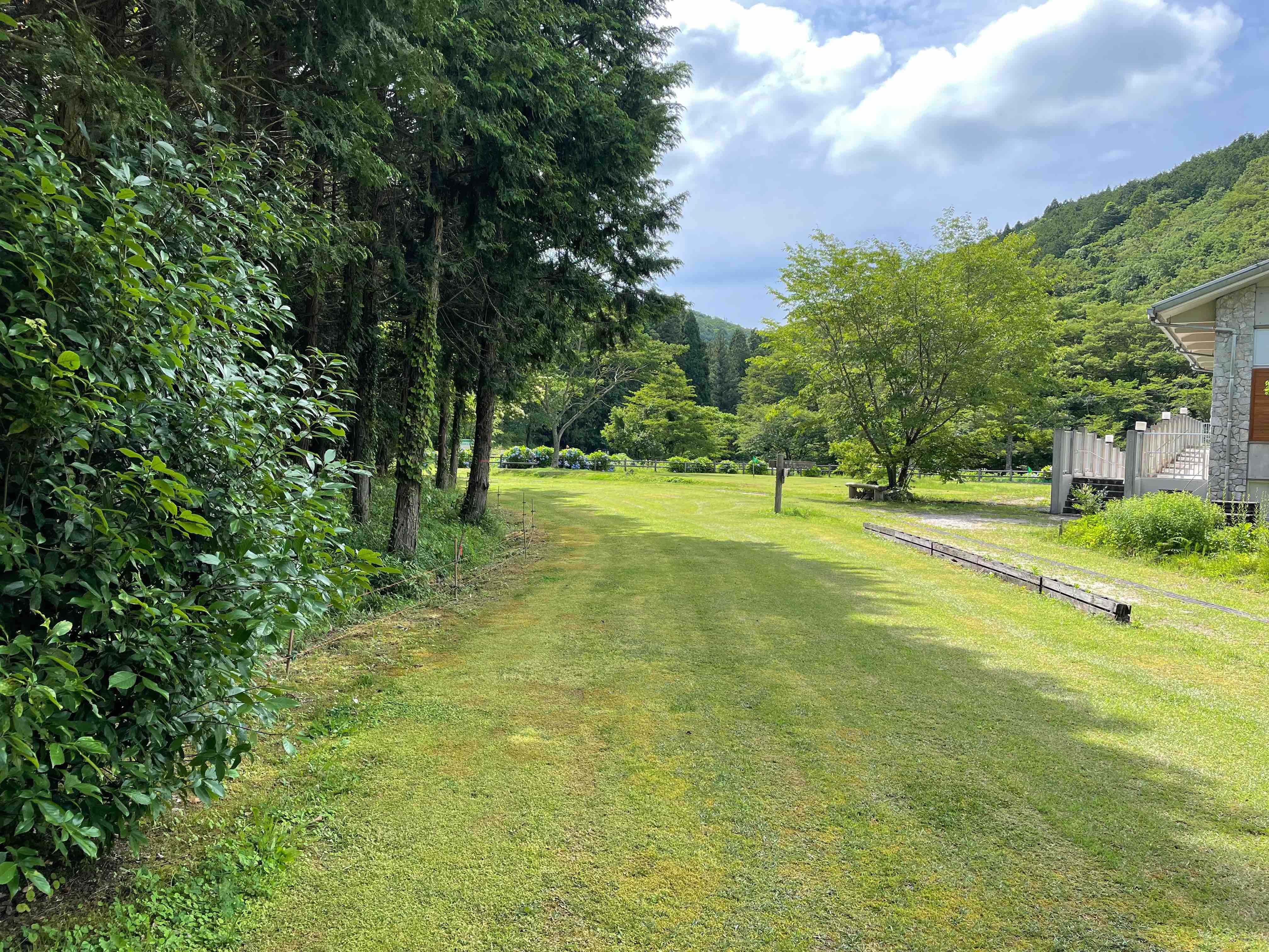 2023年7月の画像