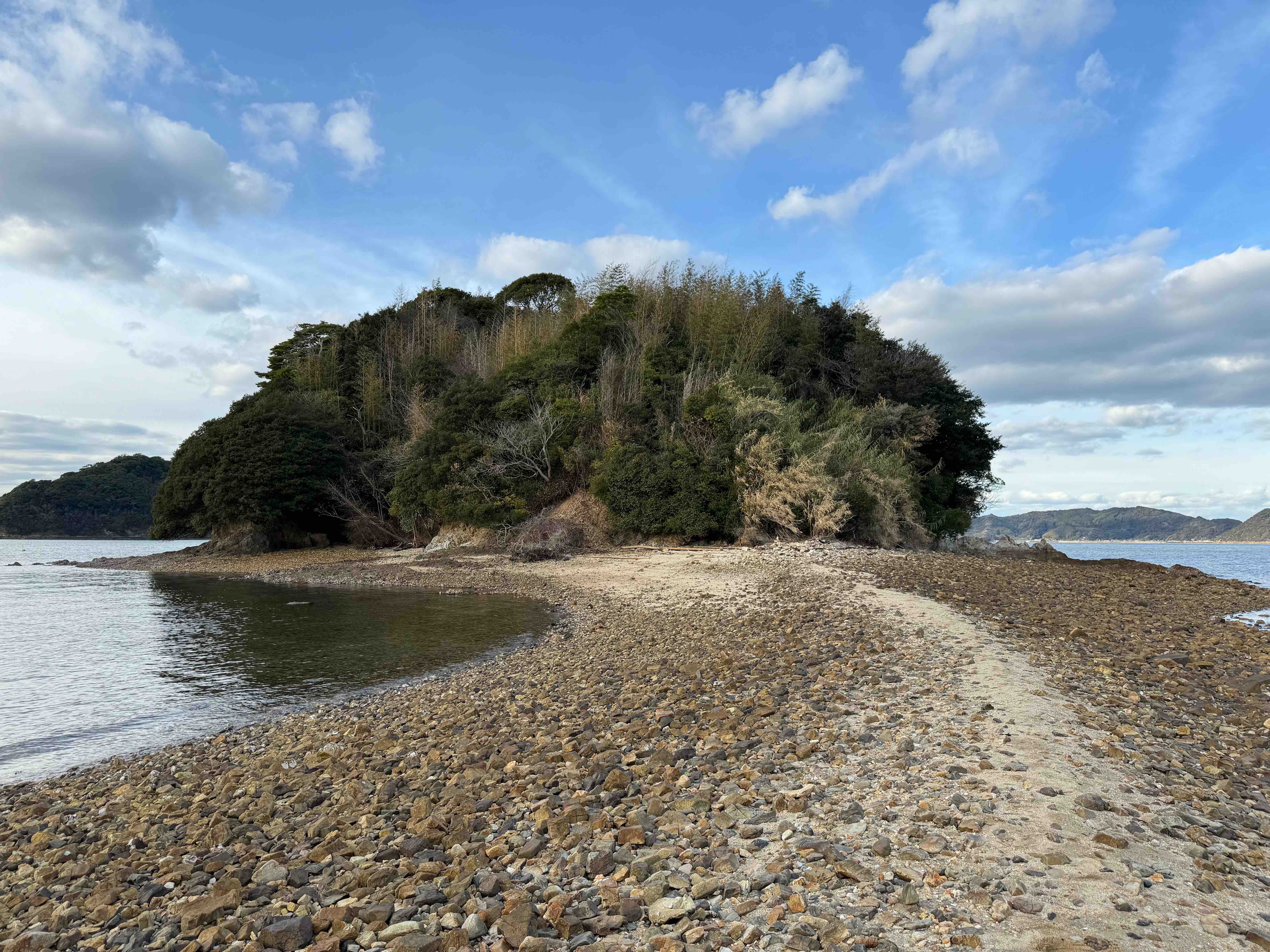 2024年1月の画像