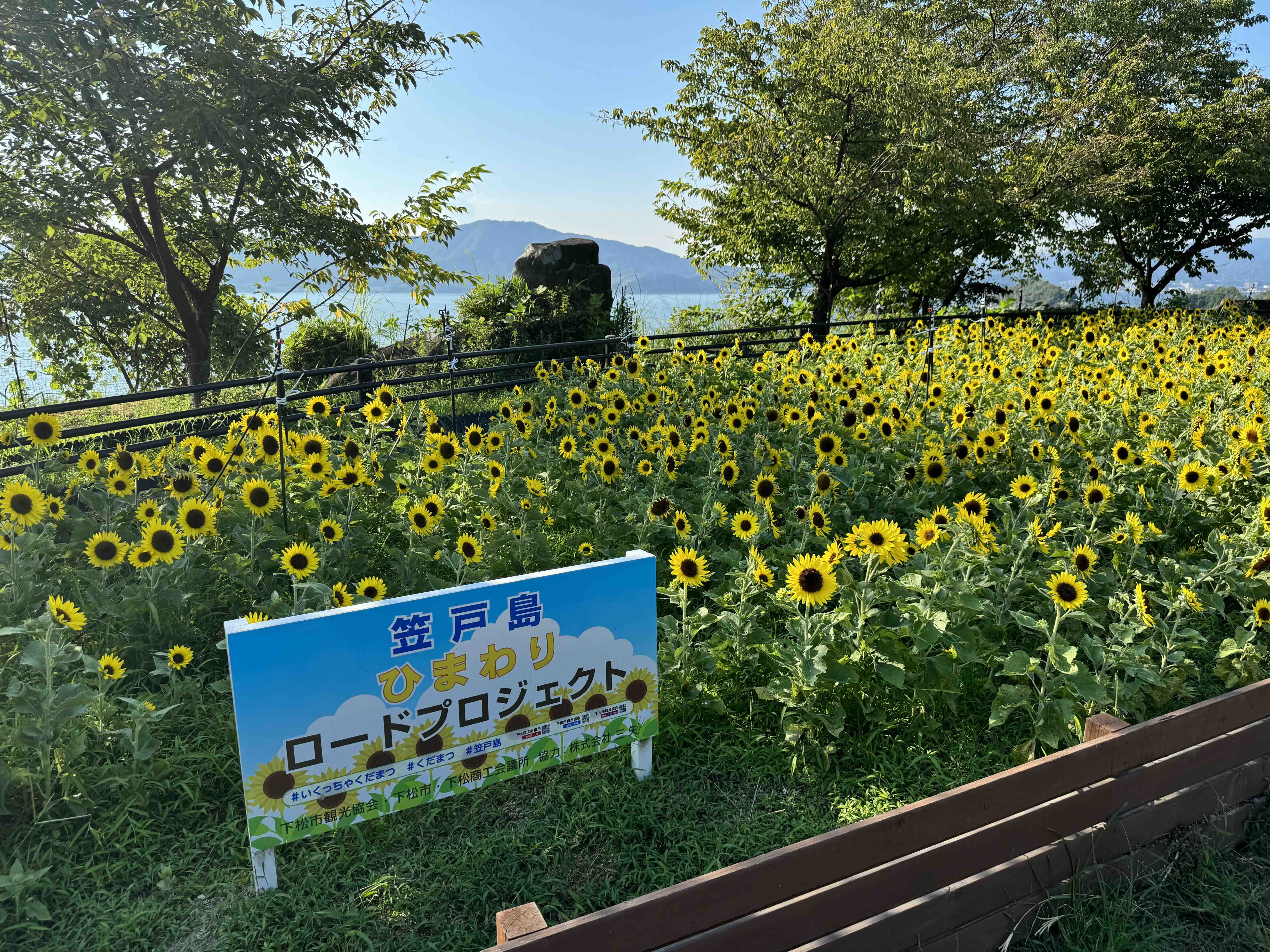 2024年9月の画像