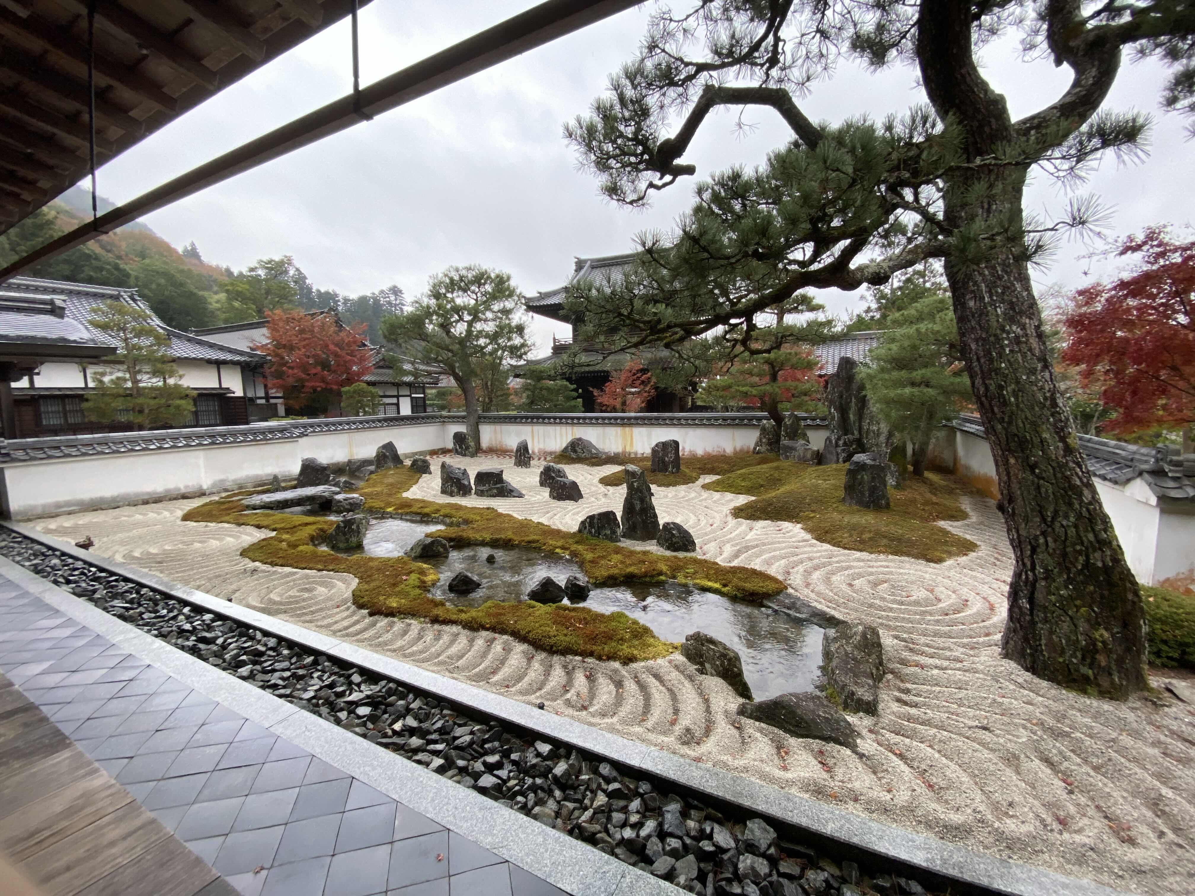 2024年11月の画像