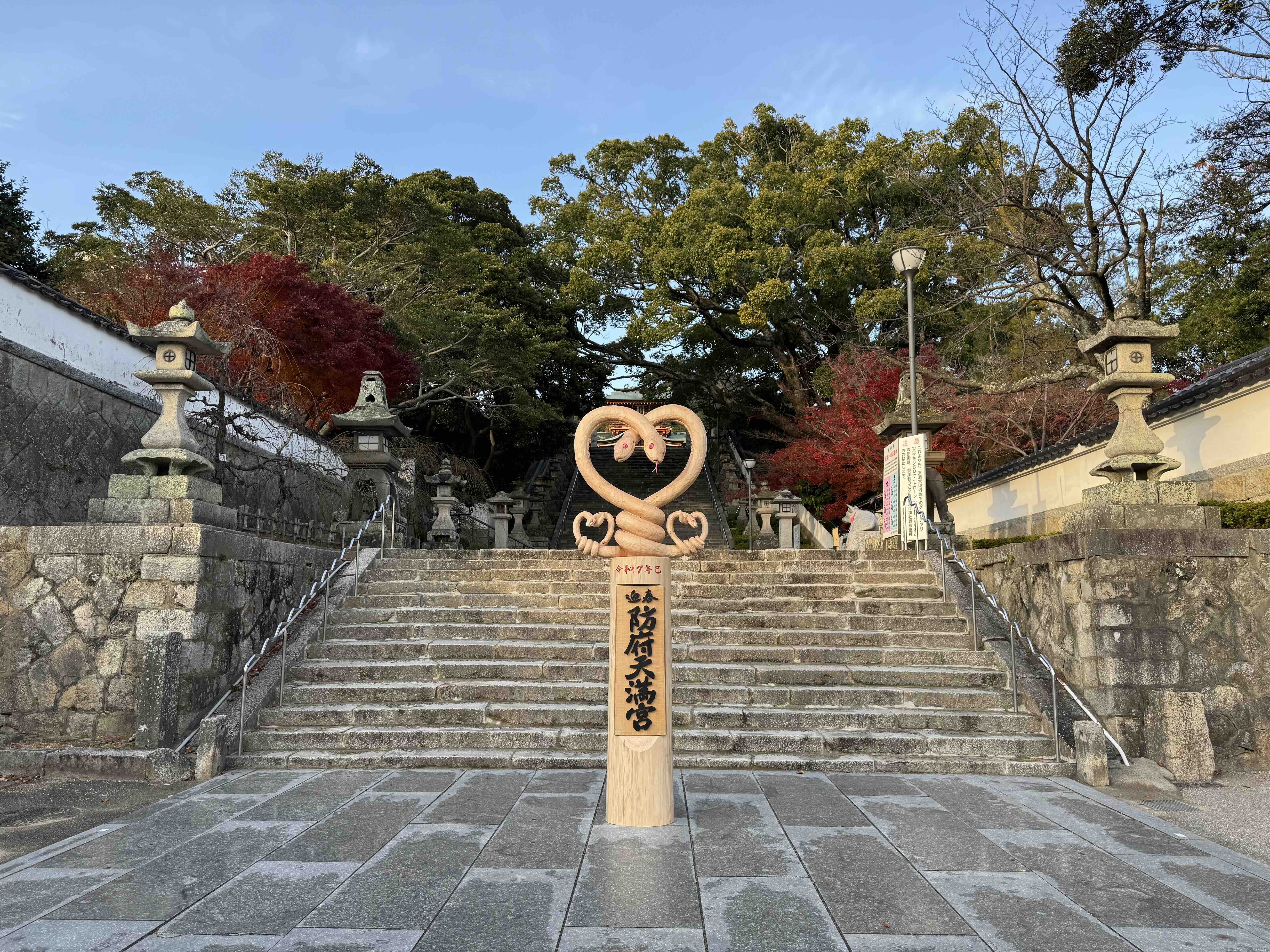 2025年1月の画像