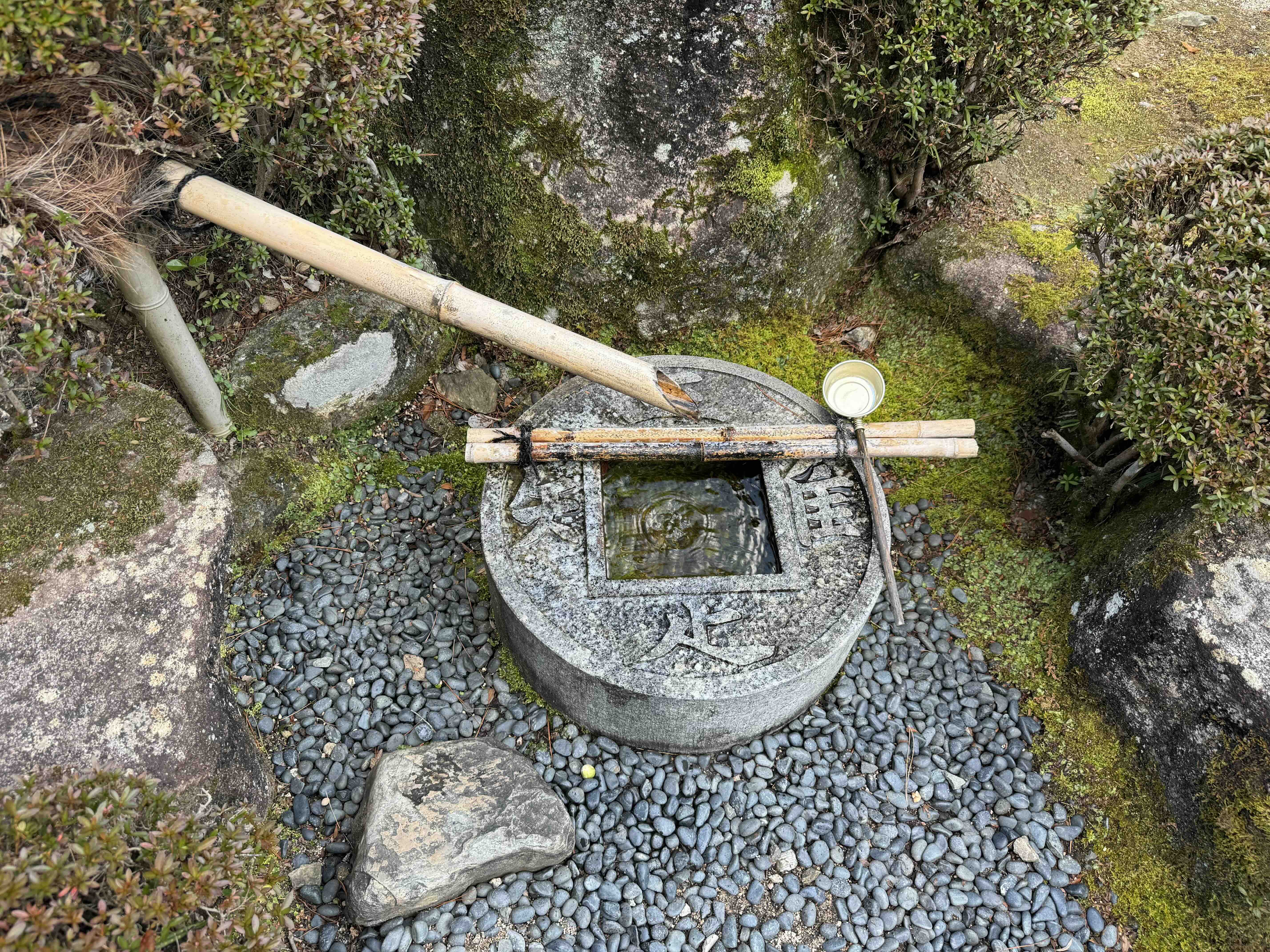 2025年3月の画像