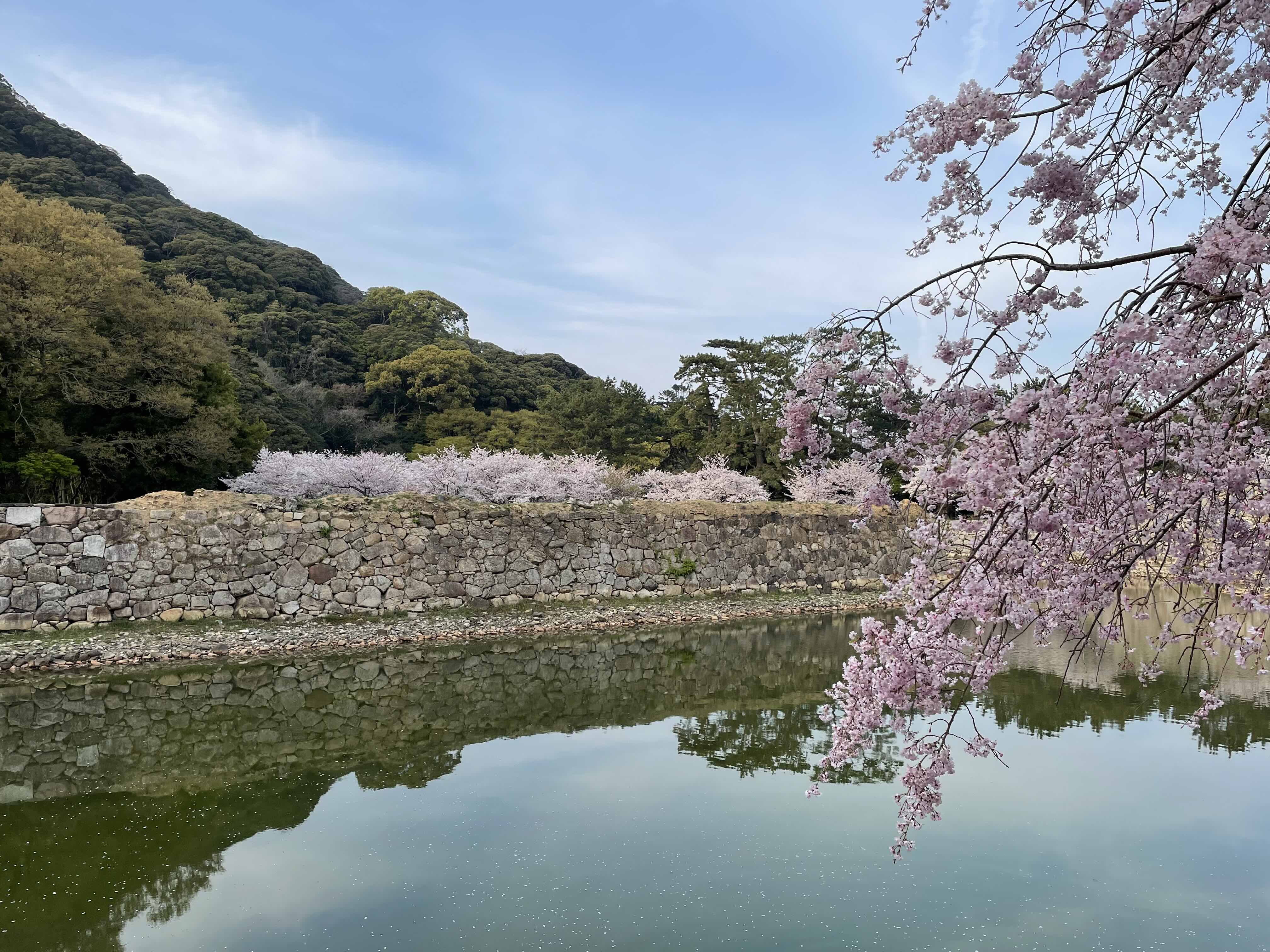 2025年4月の画像