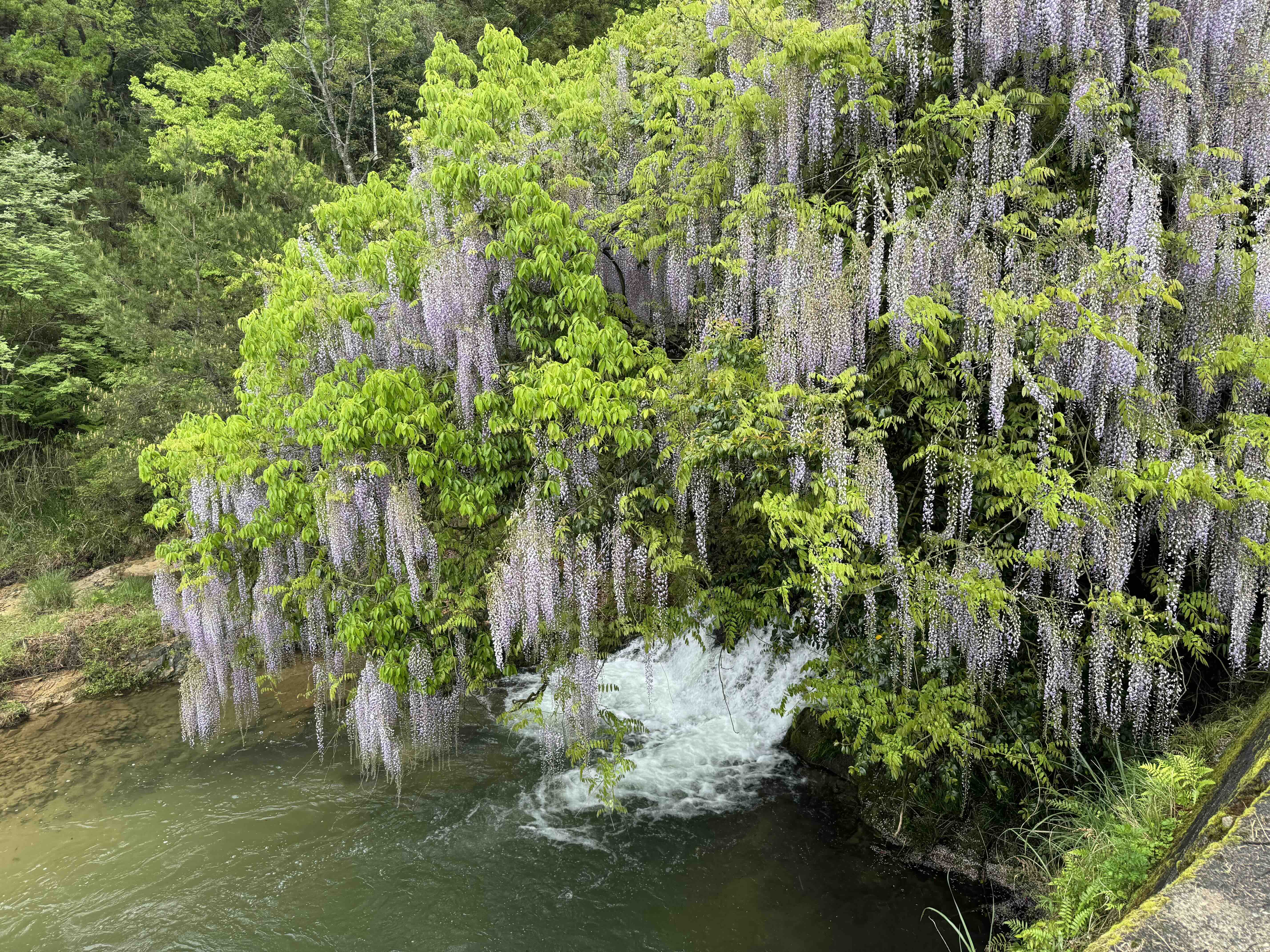 2025年5月の画像