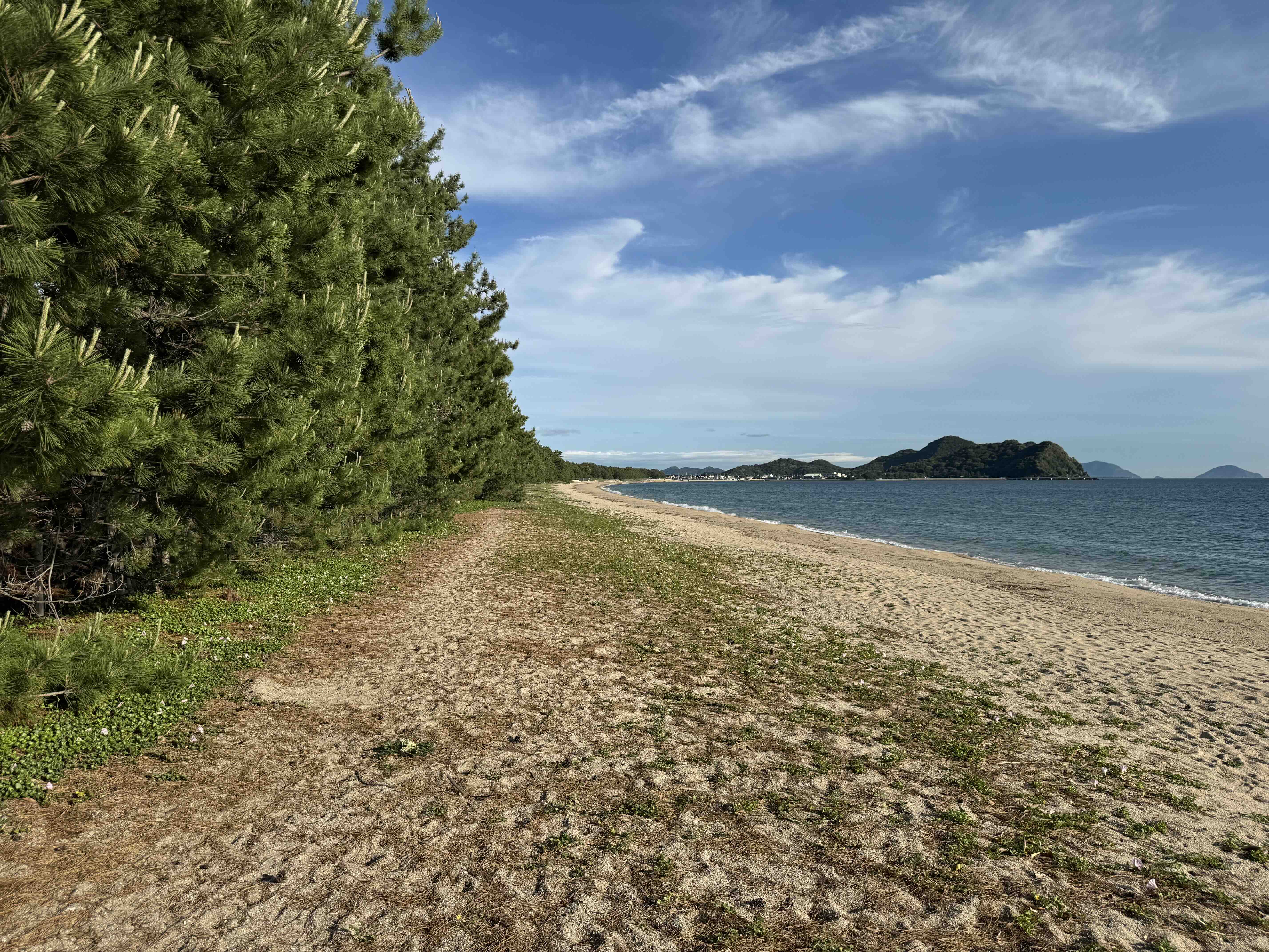 2025年7月の画像