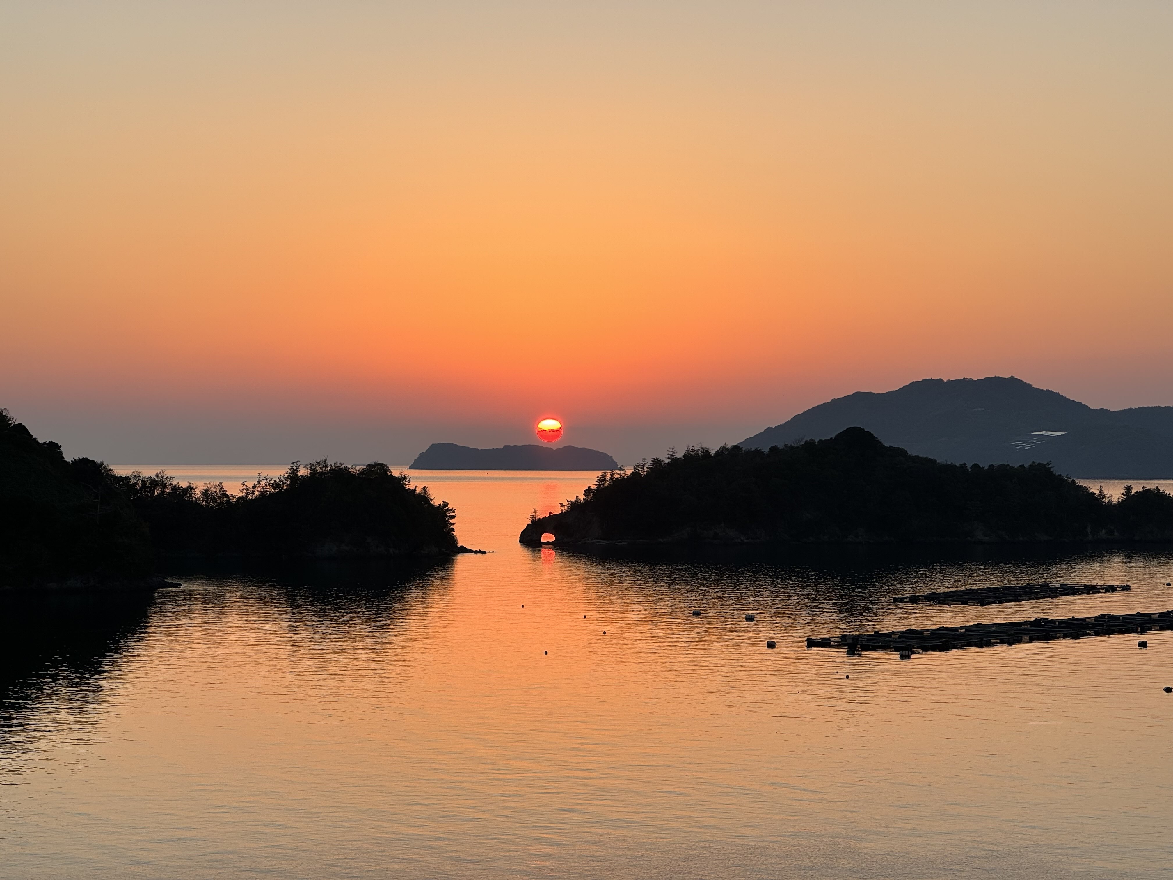 2025年11月の画像