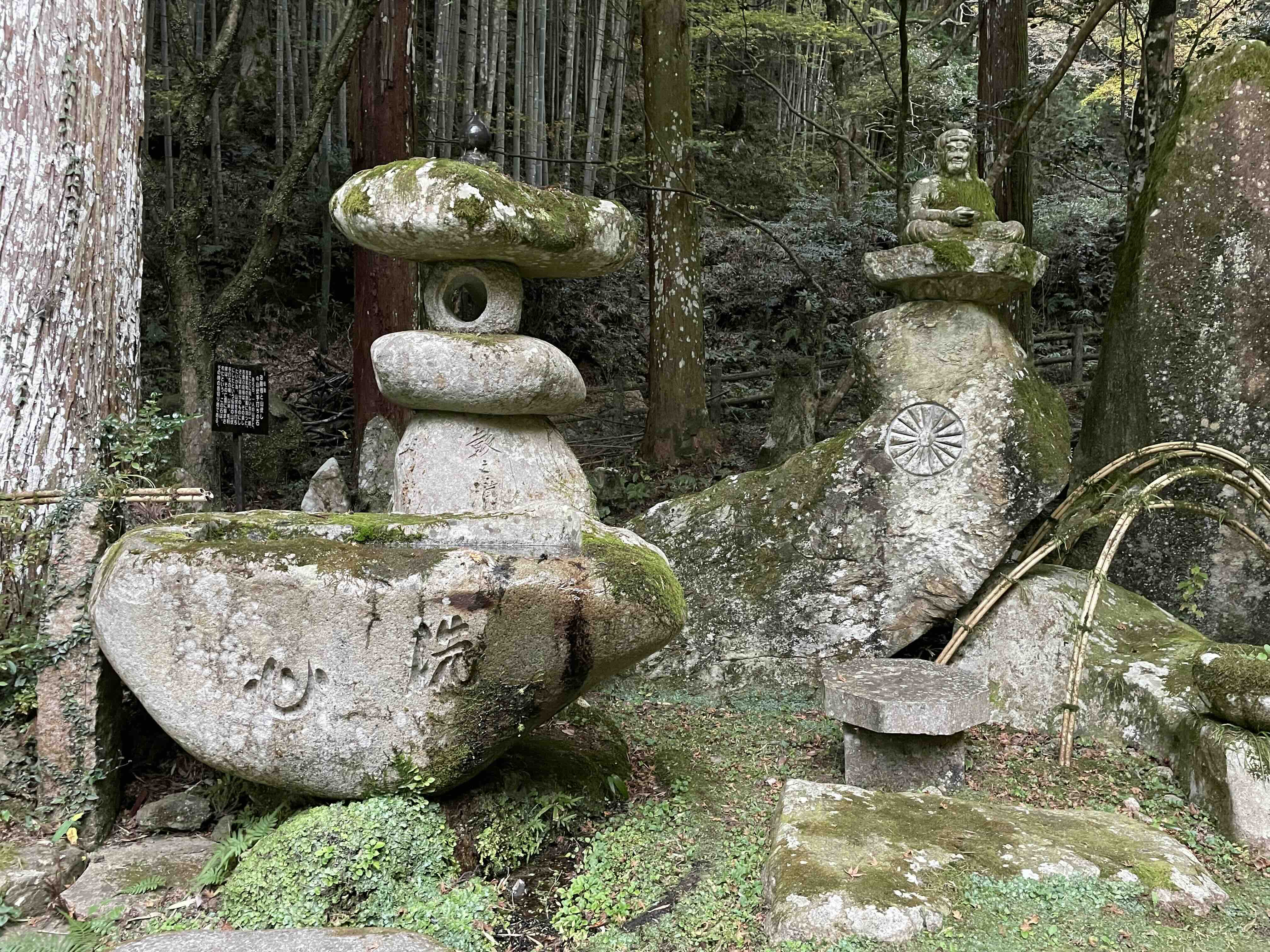 2026年3月の写真