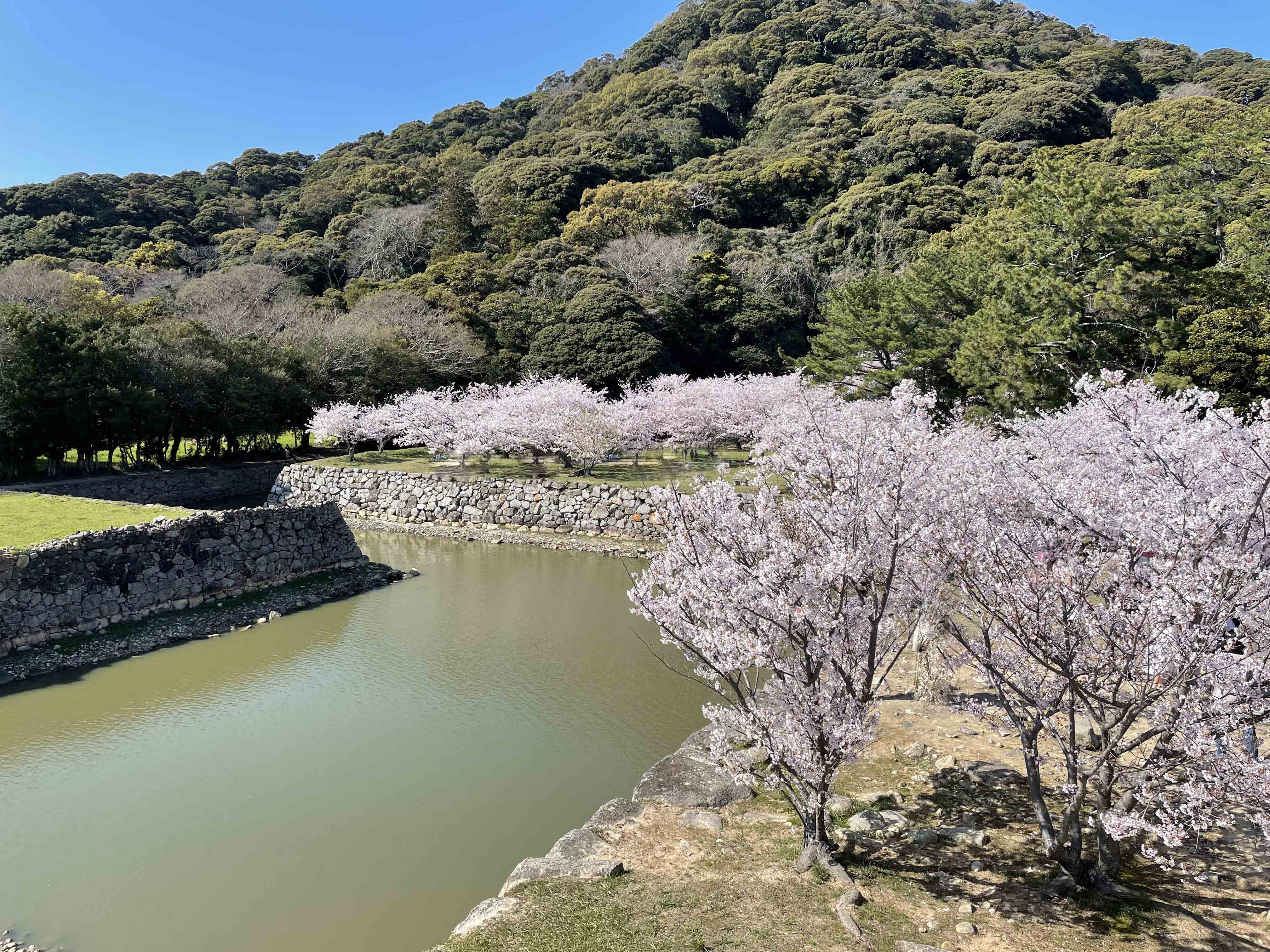 2026年4月の写真